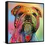 Bulldog-Mark Ashkenazi-Framed Stretched Canvas