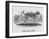 Bulldog-null-Framed Art Print