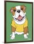 Bulldog-Tomoyo Pitcher-Framed Giclee Print