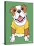 Bulldog-Tomoyo Pitcher-Stretched Canvas