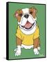 Bulldog-Tomoyo Pitcher-Framed Stretched Canvas