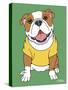 Bulldog-Tomoyo Pitcher-Stretched Canvas