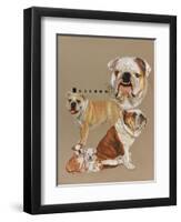 Bulldog-Barbara Keith-Framed Giclee Print