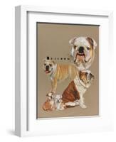 Bulldog-Barbara Keith-Framed Giclee Print