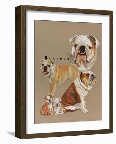 Bulldog-Barbara Keith-Framed Giclee Print