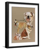 Bulldog-Barbara Keith-Framed Giclee Print