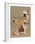 Bulldog-Barbara Keith-Framed Giclee Print