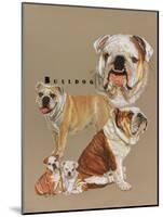 Bulldog-Barbara Keith-Mounted Giclee Print