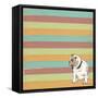 Bulldog-Tammy Kushnir-Framed Stretched Canvas