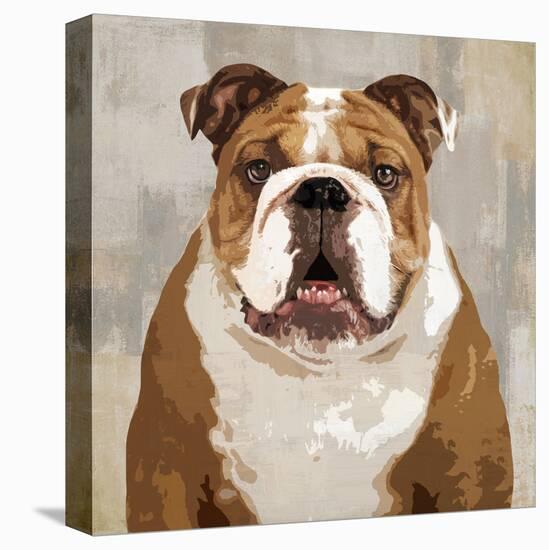 Bulldog-Keri Rodgers-Stretched Canvas