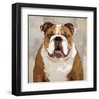 Bulldog-Keri Rodgers-Framed Art Print