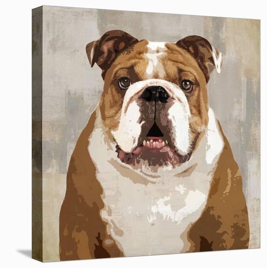 Bulldog-Keri Rodgers-Stretched Canvas