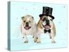 Bulldogs Male and Female-null-Stretched Canvas