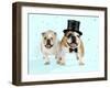 Bulldogs Male and Female-null-Framed Photographic Print