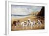 Bulldogs on a Beach-R. Ward Binks-Framed Giclee Print