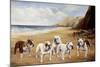 Bulldogs on a Beach-R. Ward Binks-Mounted Giclee Print