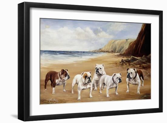 Bulldogs on a Beach-R. Ward Binks-Framed Premium Giclee Print