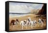 Bulldogs on a Beach-R. Ward Binks-Framed Stretched Canvas