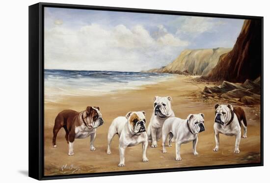 Bulldogs on a Beach-R. Ward Binks-Framed Stretched Canvas