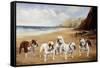 Bulldogs on a Beach-R. Ward Binks-Framed Stretched Canvas