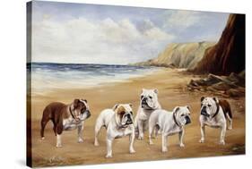 Bulldogs on a Beach-R. Ward Binks-Stretched Canvas