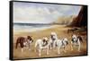 Bulldogs on a Beach-R. Ward Binks-Framed Stretched Canvas