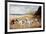 Bulldogs on a Beach-R. Ward Binks-Framed Giclee Print