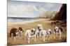 Bulldogs on a Beach-R. Ward Binks-Mounted Giclee Print