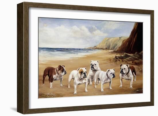 Bulldogs on a Beach-R. Ward Binks-Framed Giclee Print