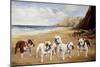 Bulldogs on a Beach-R. Ward Binks-Mounted Giclee Print