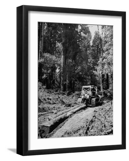 Premium Photographic Print, , large