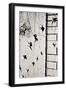 Bullet Holes in Budapest Hungary-null-Framed Photo