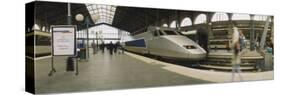 Bullet Train at a Railroad Station, Paris, France-null-Stretched Canvas