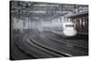 Bullet Train at Shin-Osaka Station, Osaka, Kansai, Japan, Asia-Stuart Black-Stretched Canvas