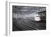 Bullet Train at Shin-Osaka Station, Osaka, Kansai, Japan, Asia-Stuart Black-Framed Photographic Print