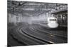 Bullet Train at Shin-Osaka Station, Osaka, Kansai, Japan, Asia-Stuart Black-Mounted Photographic Print