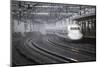 Bullet Train at Shin-Osaka Station, Osaka, Kansai, Japan, Asia-Stuart Black-Mounted Photographic Print