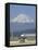 Bullet Train, Mount Fuji, Japan-null-Framed Stretched Canvas