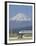 Bullet Train, Mount Fuji, Japan-null-Framed Premium Photographic Print