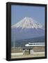 Essential Black