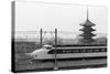 Bullet Train Running past Pagodas-null-Stretched Canvas
