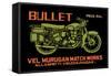 Bullet-null-Framed Stretched Canvas