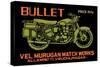 Bullet-null-Stretched Canvas