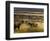 Bullfight, 1865-Edouard Manet-Framed Giclee Print