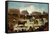 Bullfight in a Village, 1815-1819-Francisco de Goya-Framed Stretched Canvas