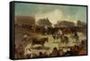 Bullfight in a Village-Francisco de Goya-Framed Stretched Canvas