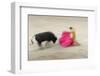 Bullfight in the Plaza De Toros Monumental De Las Ventas-Jon Hicks-Framed Premium Photographic Print