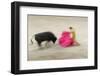 Bullfight in the Plaza De Toros Monumental De Las Ventas-Jon Hicks-Framed Photographic Print