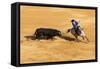 Bullfight, Jerez De La Frontera, Cadiz Province, Andalusia, Spain-Neil Farrin-Framed Stretched Canvas