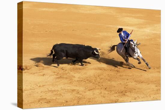 Bullfight, Jerez De La Frontera, Cadiz Province, Andalusia, Spain-Neil Farrin-Stretched Canvas